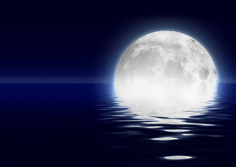 満月　Full moon